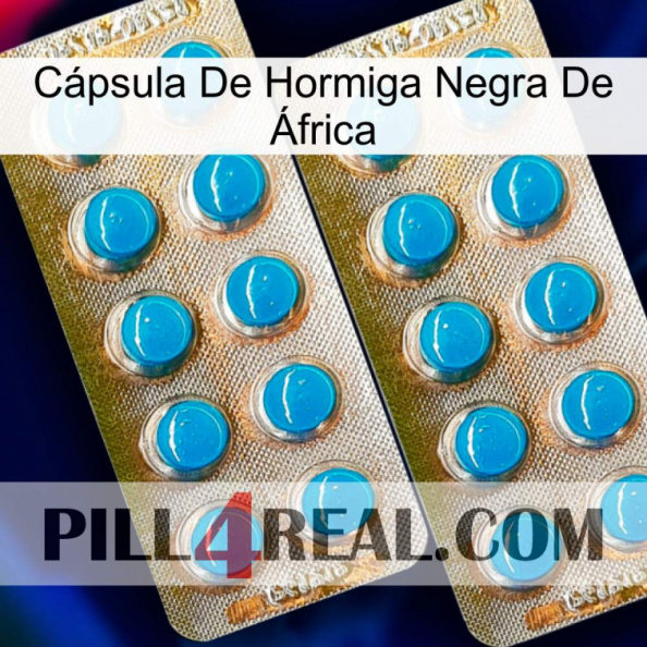 Cápsula De Hormiga Negra De África new08